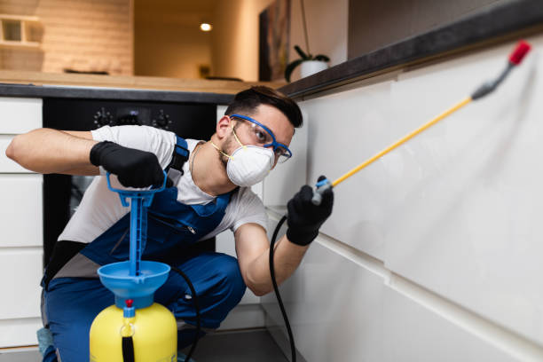 Best Pest Control Treatment  in Del Norte, CO