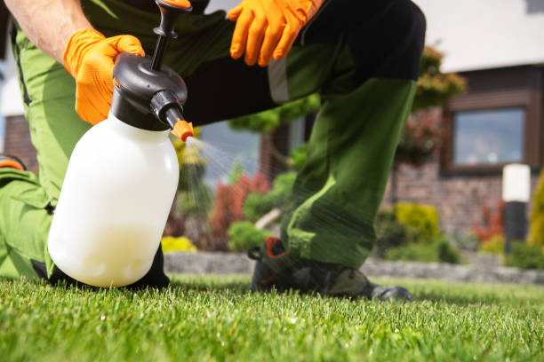 Best Wasp Removal Services  in Del Norte, CO