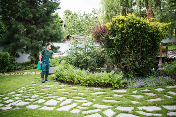 Best Best Pest Control Companies  in Del Norte, CO