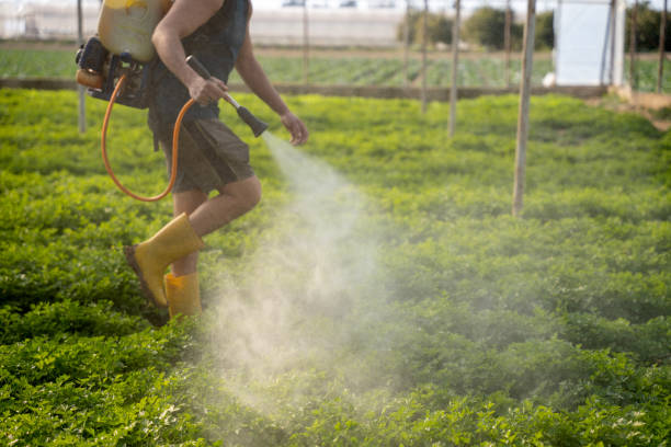 Reliable Del Norte, CO Pest Control Solutions