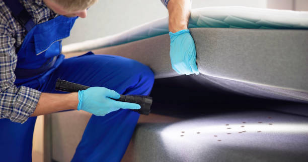 Best Local Pest Control Services  in Del Norte, CO