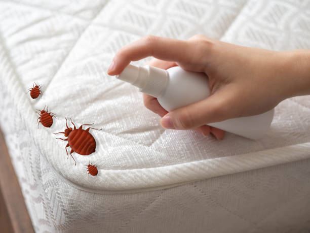 Pest Control for Restaurants in Del Norte, CO