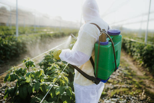 Best Commercial Pest Control Services  in Del Norte, CO